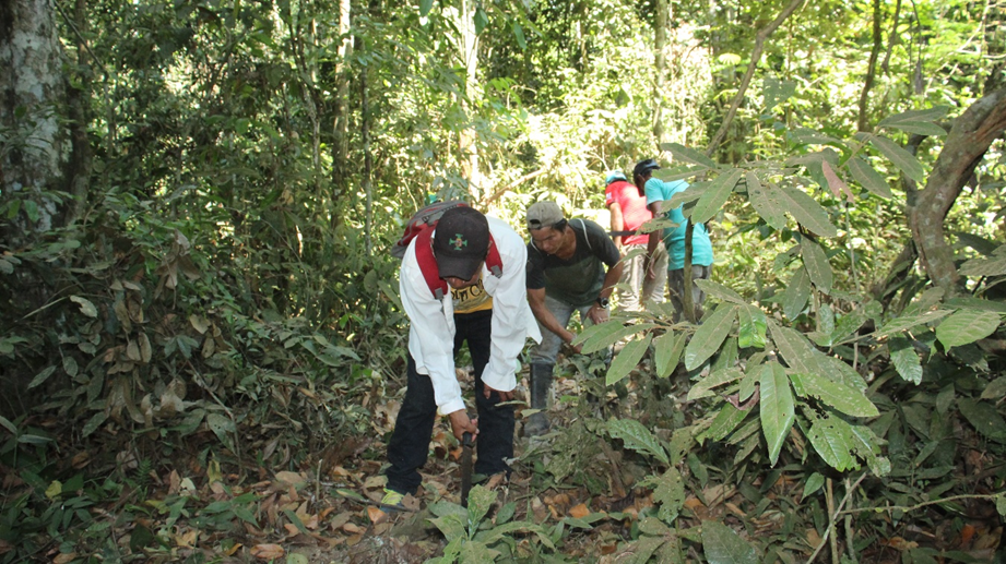 Comunidad Vista Alegre enriquece su educación con la implementación del noveno bosque educativo