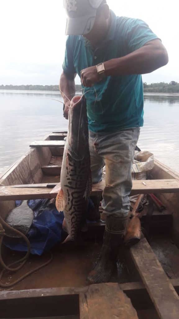 COVID-19 pone en crisis al sector pesquero en El Sena, en la Amazonía boliviana